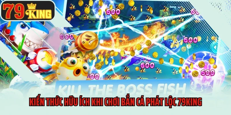 Bắn Cá Phát Lộc 79king - Cơ Hội Săn Quà Cực Khủng 4 Kiến thức hữu ích khi chơi Bắn cá phát lộc 79king