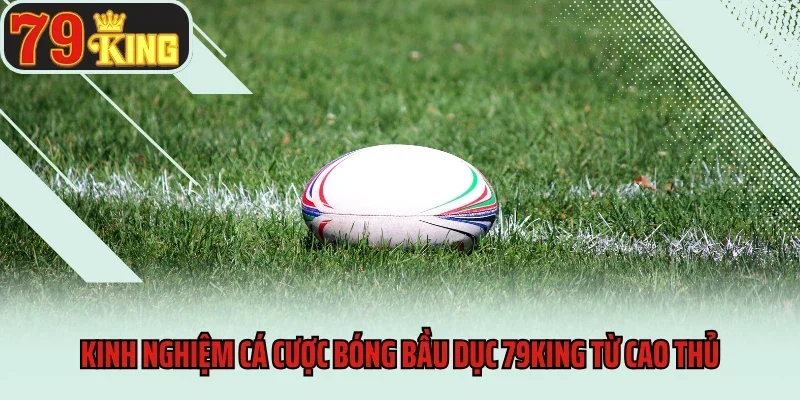 Kinh nghiệm cá cược bóng bầu dục 79King từ cao thủ
